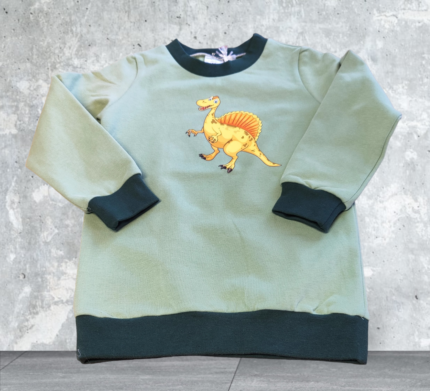 Sweatshirt Größe 98